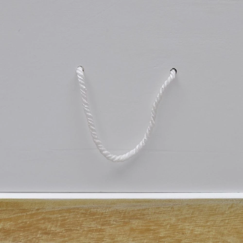 Banquette Banc Coffre De Rangement 100 Cm Blanc 3002017 – Image 2