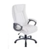 Splendide Chaise De Bureau Categorie Budapest Bern Couleur Blanc