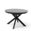 Table Ronde Extensible Design WINNIE Diamètre 120cm Gris Céramique...